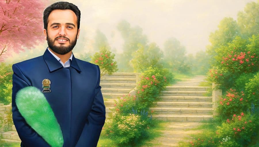 سید دلها